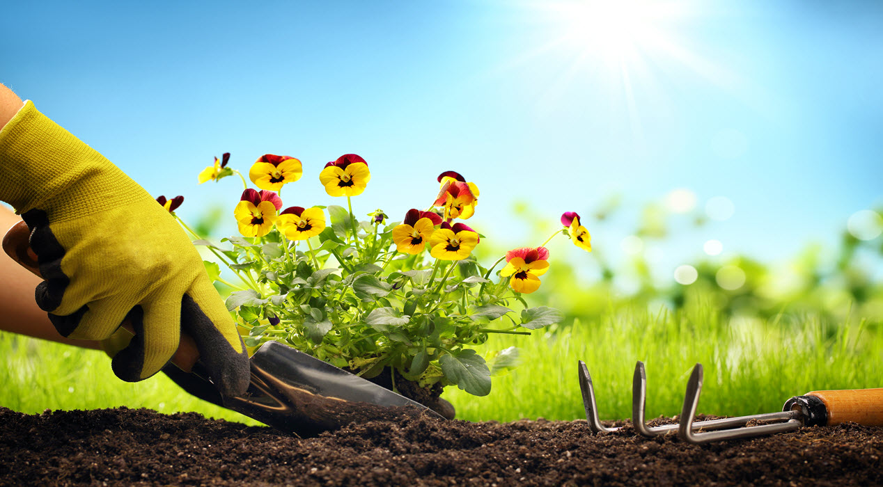 How A Happy Little Garden Makes You Smile