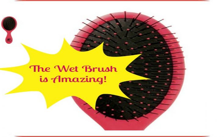 The Wet Brush - Oh Wow It Really Works!