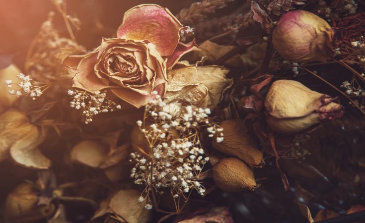 How To Create A Dried Flower Frame