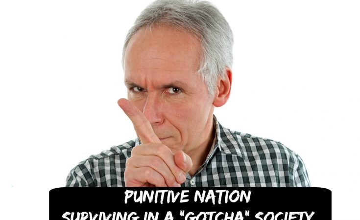 Punitive Nation - Surviving In A Gotcha Society - Sassy Townhouse Living