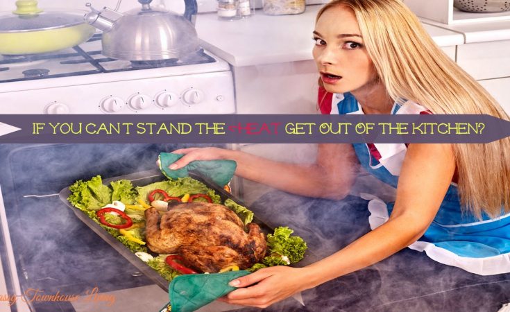 If You Can't Stand The Heat Get Out Of The Kitchen - Sassy Townhouse Living