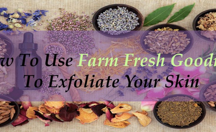 How To Use Farm Fresh Goodness To Exfoliate Your Skin - Sassy Townhouse Living