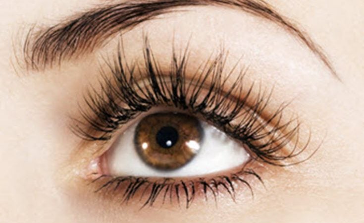 How To Get Thicker Fuller Luxurious Lashes And Brows
