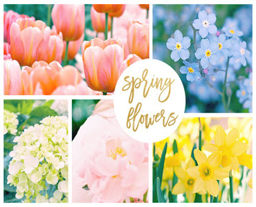 42 Spring Flowers Inspired by Pantone Colors of the Year