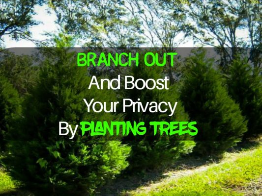 Branch Out And Boost Your Privacy By Planting Trees
