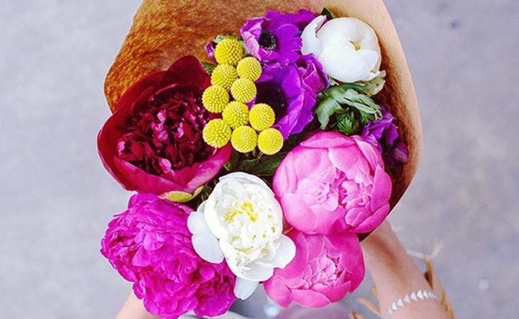 32 Beautiful Summer Flowers And Their Complementary Colors