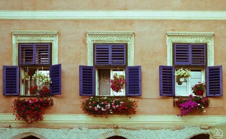 How to Revamp Your Windows This Summer
