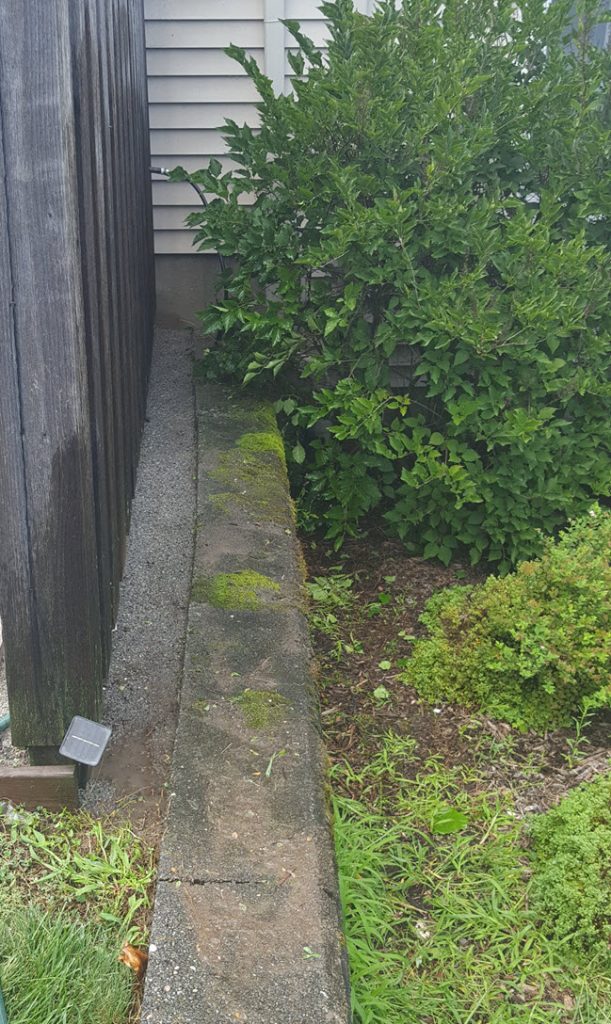 How To Get Rid Of Patio Weeds Without Chemicals