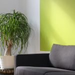 How To Add Color Into Your Existing Decor And Love It