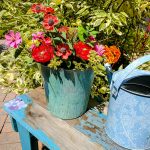 Upcycle Plastic Flower Pots