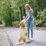 Pet Sitter