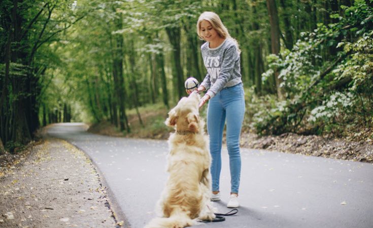 Pet Sitter