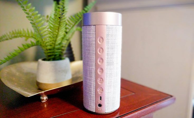 Amazon Alexa Portable Speaker