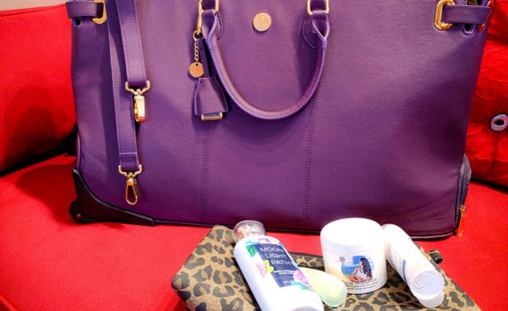 Weekend Traveler Bag