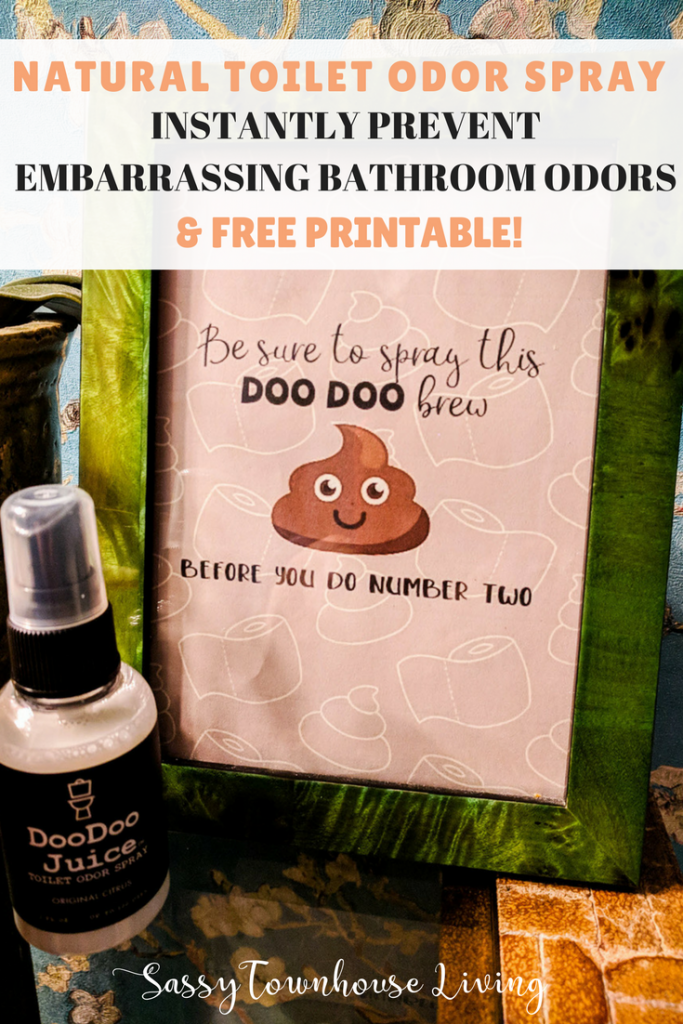 Natural Toilet Odor Spray Instantly Prevent Embarrassing Bathroom Odors