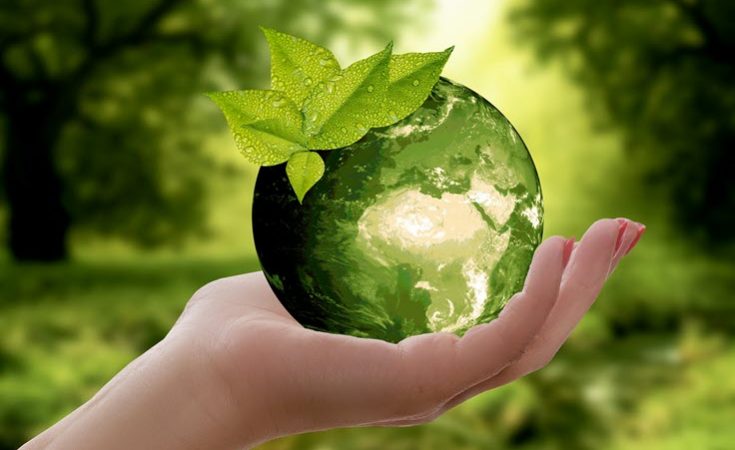 Eco-Friendly Lifestyle