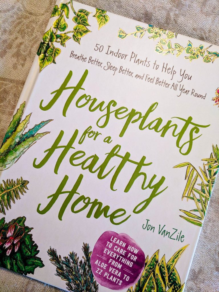 5 Creative Garden Ideas And Improvement Tips - Transform Your Garden!