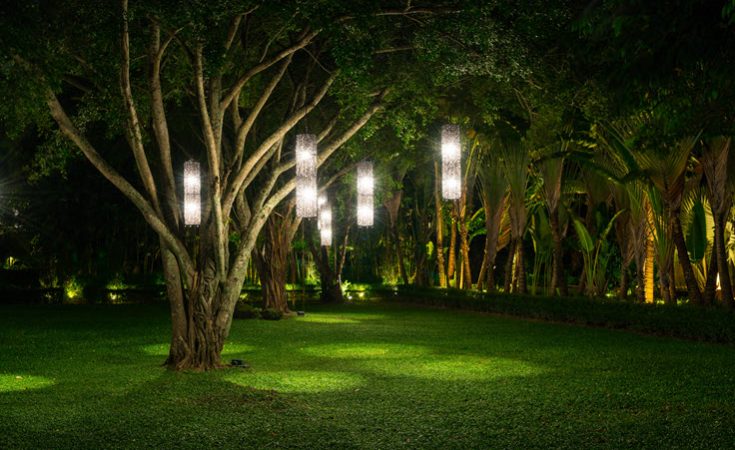 creative garden ideas