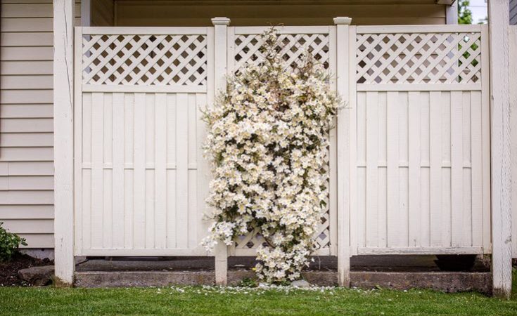 Garden Fences