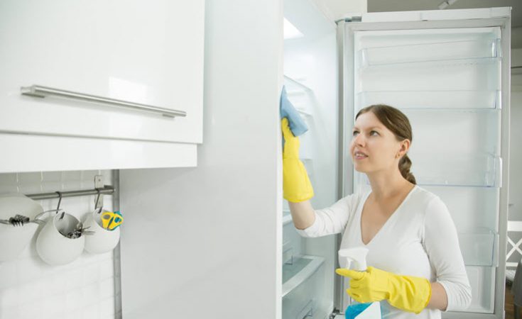 Sanitize Your Home