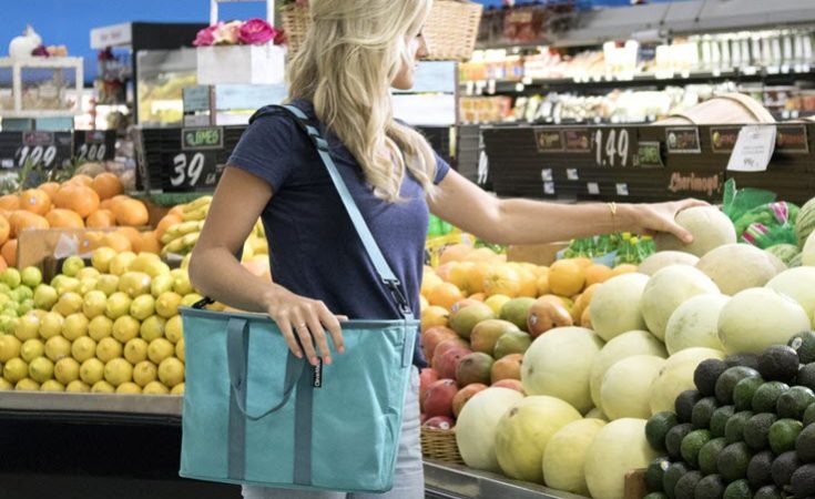 Plastic Bags Eco-Conscious EcoBasket