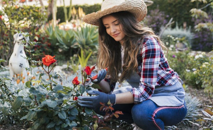 How To Keep Your Garden Pest Free This Season