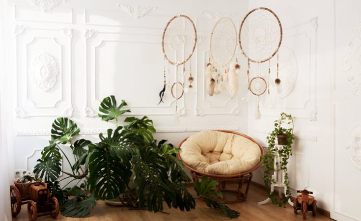 5 Decorative Indoor Houseplants You Need For Inner Peace