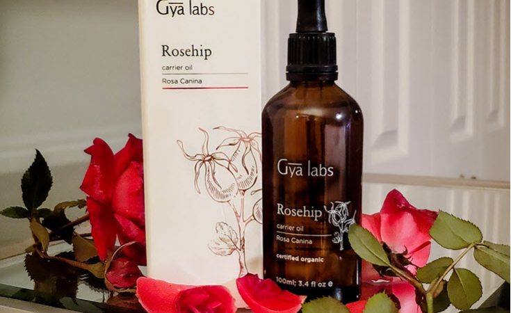 Organic Rosehip Oil Is The Best Way To Unlock Beautiful Skin