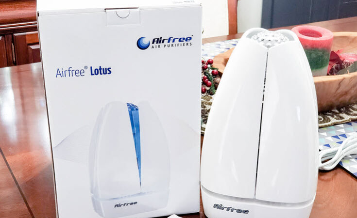 This Airfree Filterless Air Purifier Is Great For Allergy Relief!