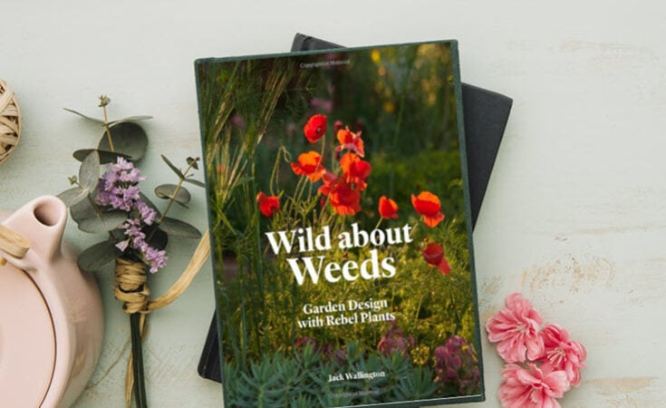 21 Recommended Books We Love You Need To See!