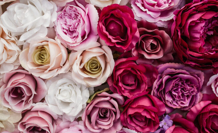 6 Rose Infused Products For A Romantic Valentine's Day