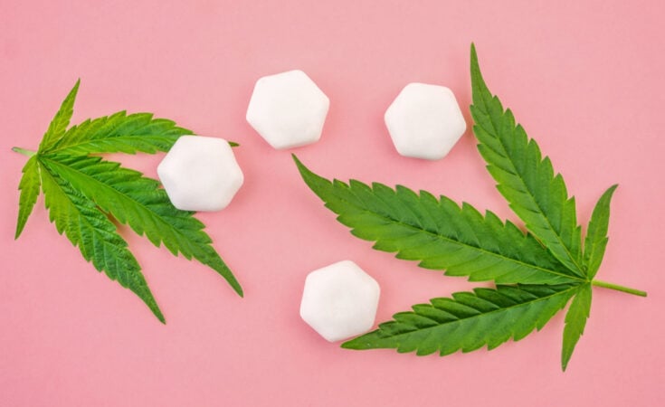 CBD Gum - Is It Good Option And Right For You