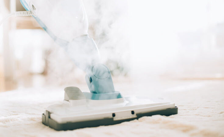 Steam Cleaners Are They Worth It For Disinfecting And Cleaning