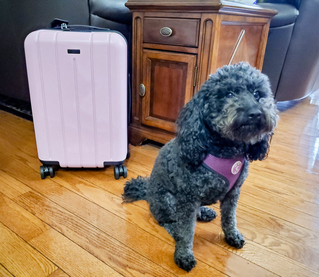 Valentine's Day Gift Travel