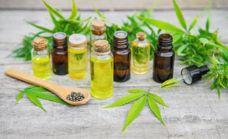 Hemp Oil vs CBD Oil What's The Difference Between The Two