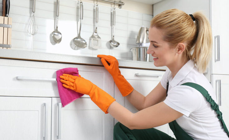 This Is The Right Way To Entirely Disinfect Your Kitchen