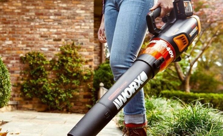Lawn Maintenance Is Breeze With Worx Cordless Leaf Blower