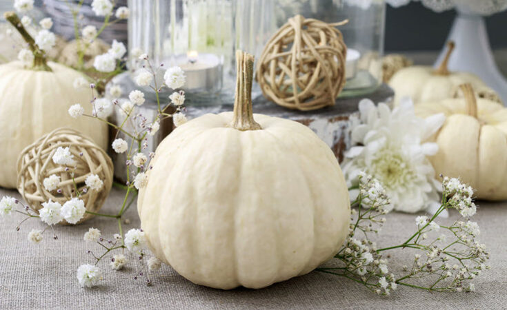 Fall Decor Ideas Autumn