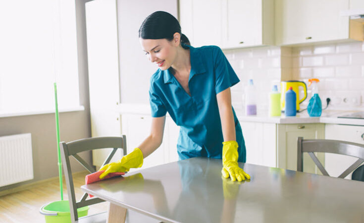 Professional Cleaning Service
