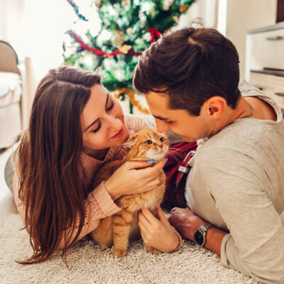 Adopt A Cat
