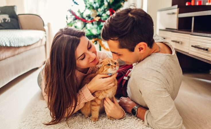 Adopt A Cat