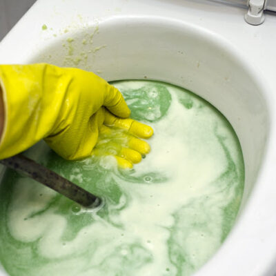 Flush Down The Toilet