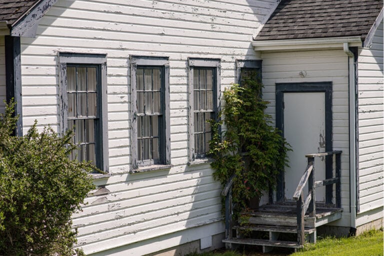 Replace Windows And Doors