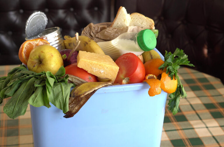 Food Waste