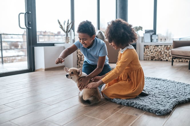 Children And Pet-Friendly safe home