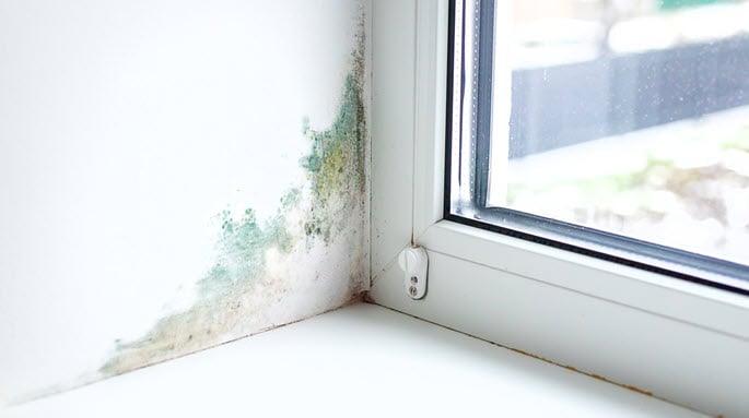 Hidden Home Damages