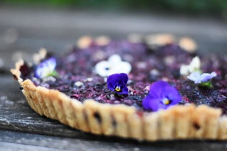 Blueberry Tart with Thyme Pastry